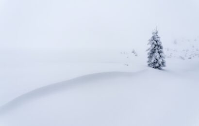 한게임머니상 포커 머니 교환의 새로운 길