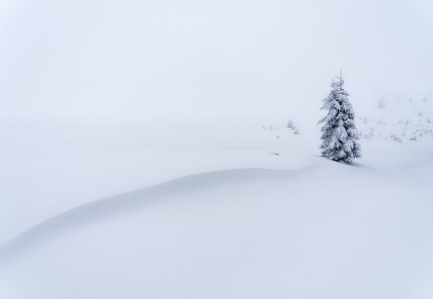 한게임머니상 포커 머니 교환의 새로운 길