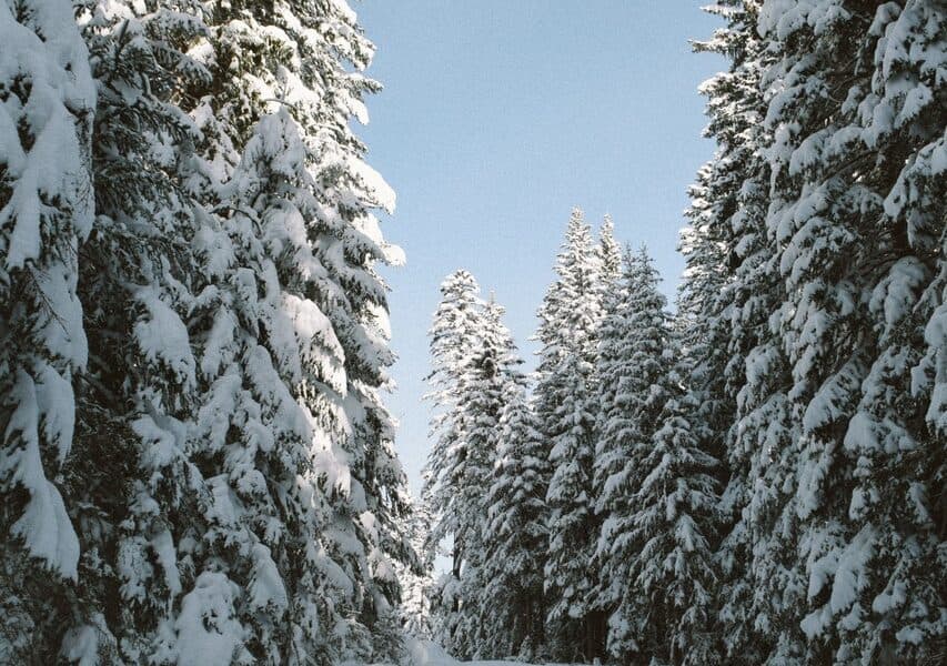 피망머니상 안전하고 믿을 수 있는 포커 머니 교환 서비스 피망머니상 안전하고 믿을 수 있는 포커 머니 교환 서비스