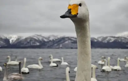몸캠피싱에 한 번 걸리면 위험한 이유, 절대 혼자 해결하지 마세요