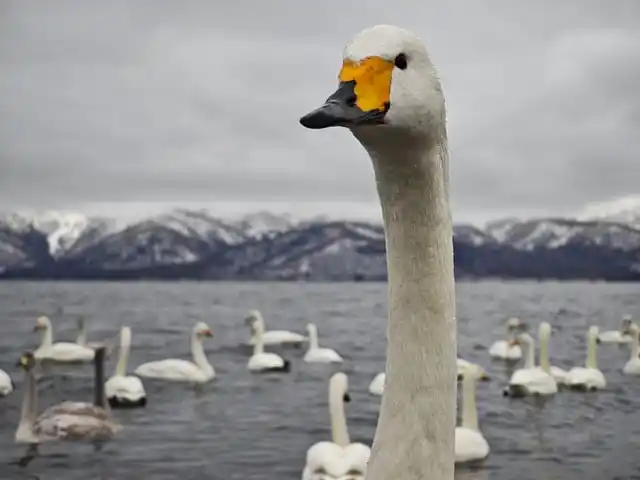 몸캠피싱에 한 번 걸리면 위험한 이유, 절대 혼자 해결하지 마세요